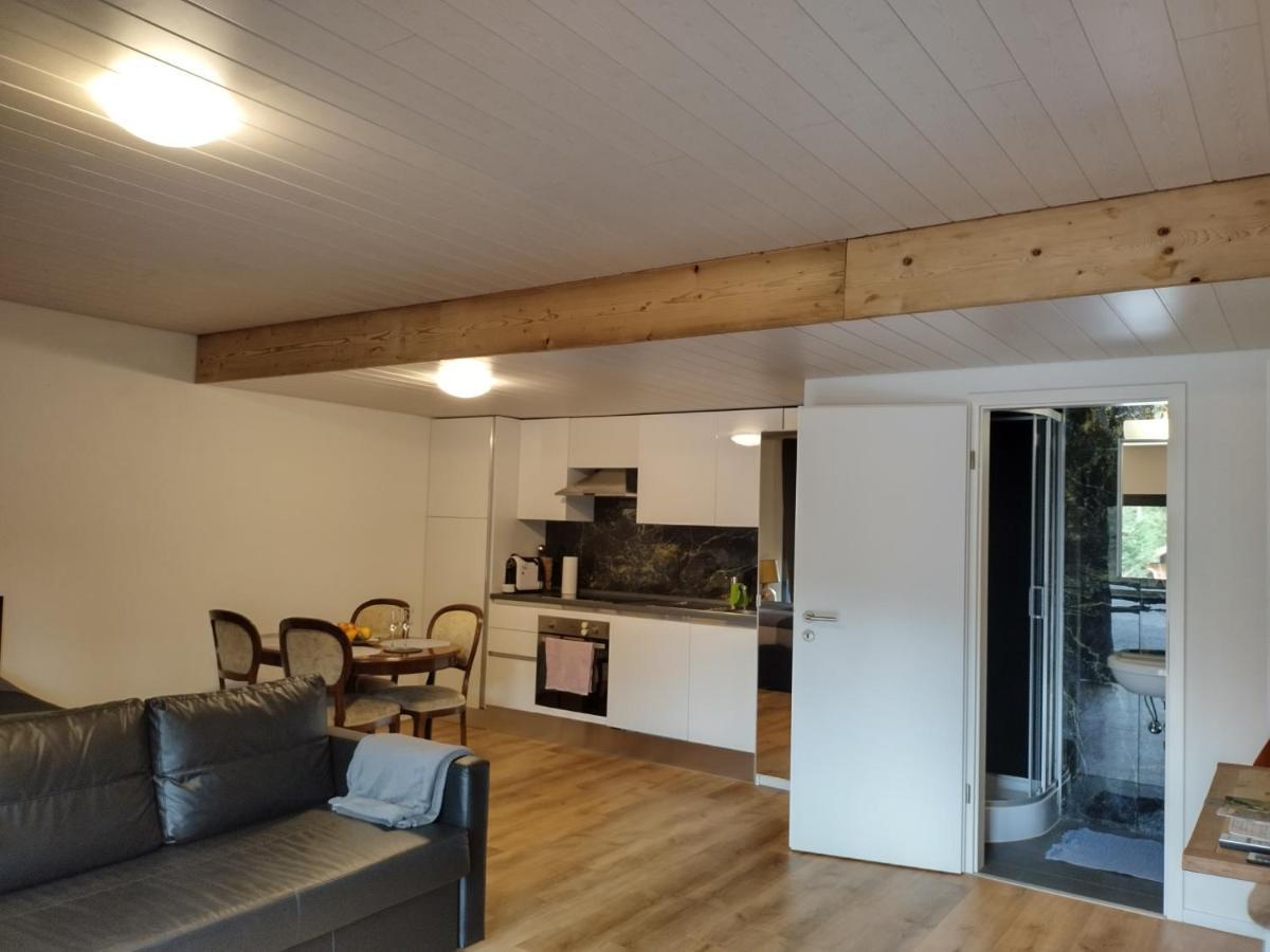 Spacieux Studio 38M2 Les Paccots Exterior photo